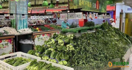 江苏蔬菜价格小幅上扬，新鲜蔬菜零售市场动态分析