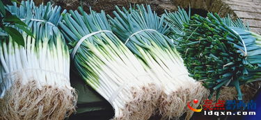 兴义乌沙镇 牛膀子落红大葱韭菜丰收，新鲜蔬菜领“鲜”上市
