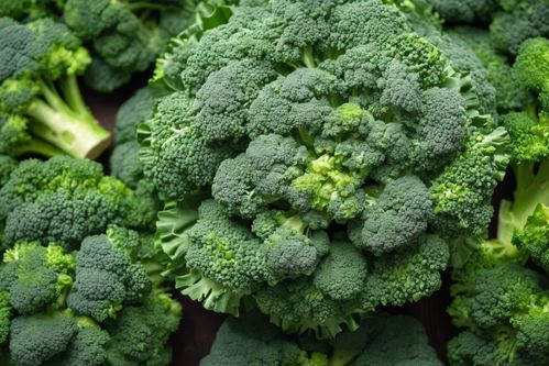 健康餐桌的绿色瑰宝 新鲜西蓝花，从农场直达您家